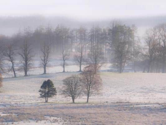 February 25 2018 in Scotland started with a widespread moderate frost, with persistent cloud through central parts and along the east coast, and almost unbroken sunshine everywhere else.