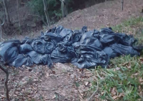 Bags that have been dumped on  the banks of the Mary Burn,  full of wet wipes, face  wipes and sanitary towels.