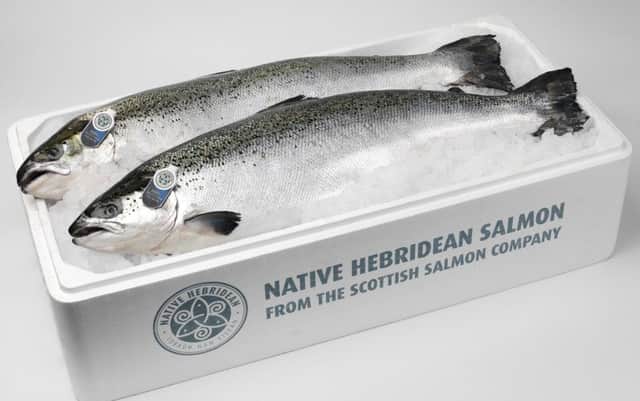 The Scottish Salmon Company (SSC) operates 60 sites across the west coast and the Hebrides. Picture: Contributed