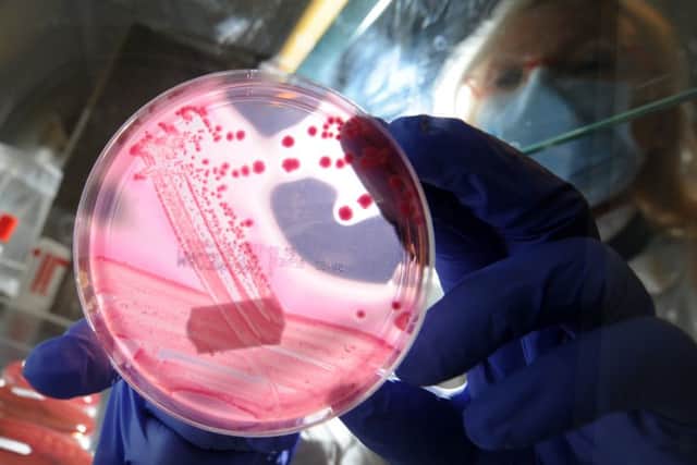 A total of 17 Scottish-based life sciences companies agreed 20 VC deals. Picture: Getty Images)