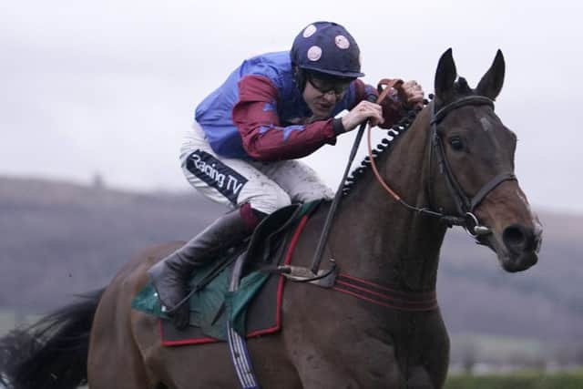 Paisley Park won the Cleeve Hurdle at Cheltenham in January. Picture: Alan Crowhurst/Getty Images
