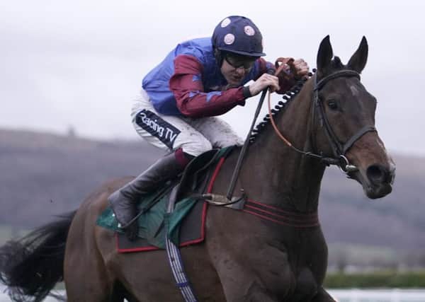 Paisley Park won the Cleeve Hurdle at Cheltenham in January. Picture: Alan Crowhurst/Getty Images