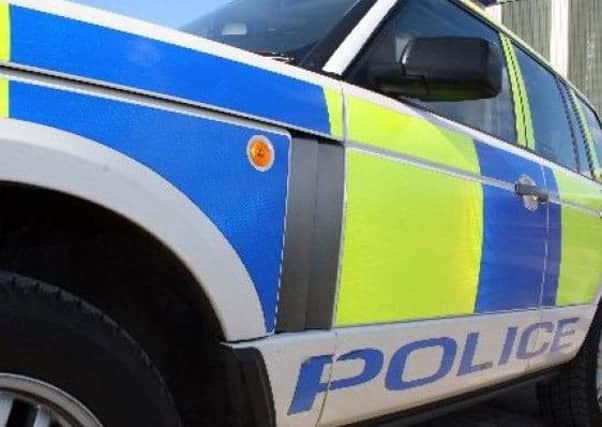Two police officers have been put on restricted duties pending an inquiry after they allegedly called colleagues in the road policing division traffic Nazis.