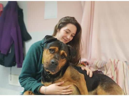 Sheera has had a rollercoaster few months and is looking for an understanding home who can give her time to settle. She warms quickly and within no time she will be on your knee for cuddles.