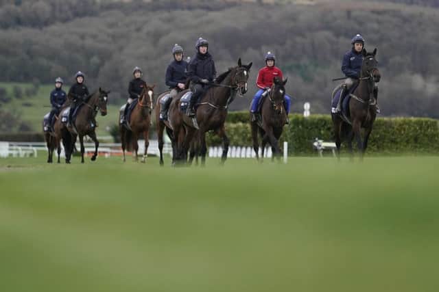 David Condon riding Champion Hurdle contender Apples Jade, right, leads the Gordon Elliott string on the gallops at Cheltenham.