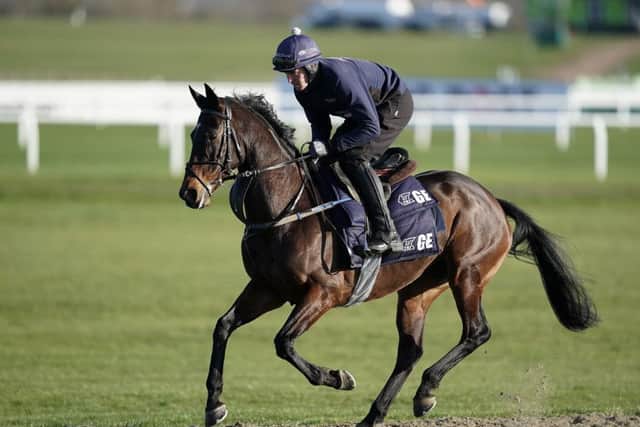 Apples Jade has won four times this season and goes to Cheltenham in top form. Picture: Getty