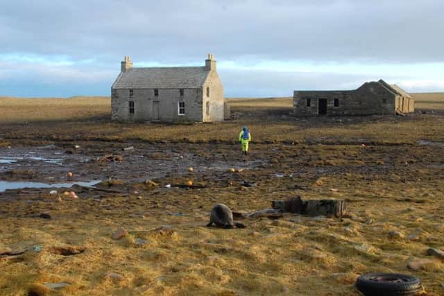 Seals follow a rare visitor to the island of Swona. PIC. www.geograph.org.uk/Ian Balcombe.