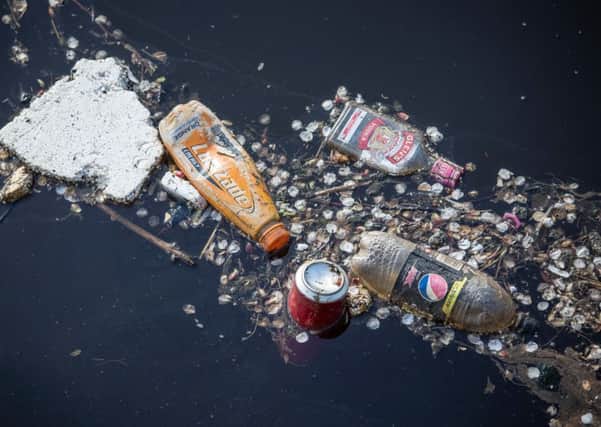 Plastic waste  seen floating in Leith Docks  will pollute the natural world for hundreds of years (Picture: Greenpeace)