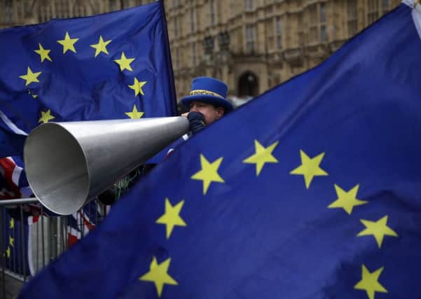 A pro-European protester outside the Houses of Parliament. Picture: Matt Dunham/AP