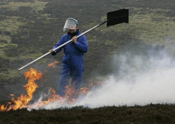 Conservationists have called for the burning of grouse moors to  be banned. Picture: PA