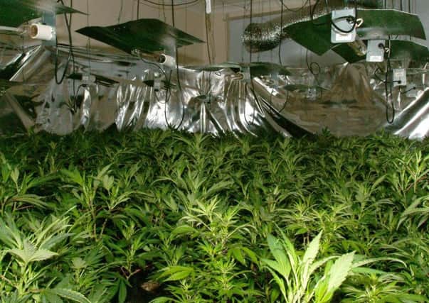 The public image of cannabis may be based on outdated ideas about the drug