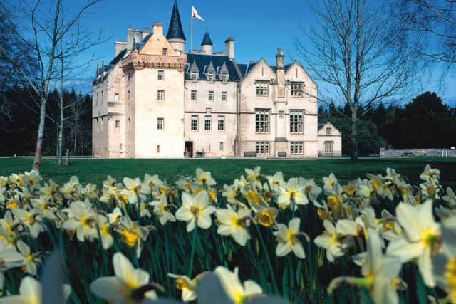 Springtime daffodils are in full bloom at Brodie Castle in Moray. PIC: NTS.