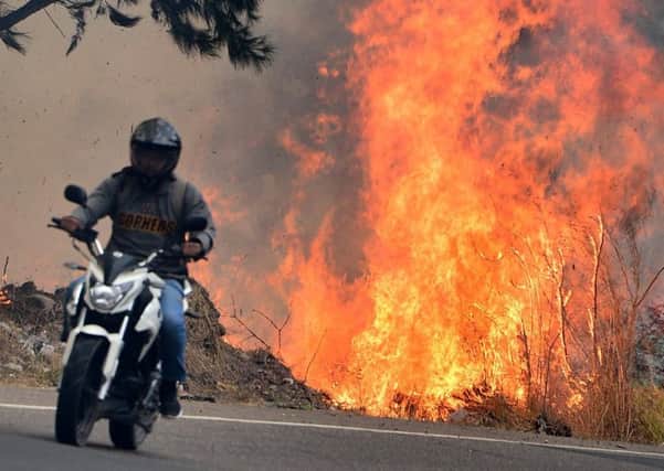 A forest fire rages just six miles from the Honduran capital Tegucigalpa earlier this month (Picture: Orlando Sierra/AFP/Getty)