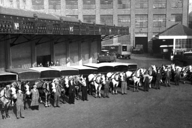 A line-up of St Cuthbert's Co-op horses, drivers and carts at the dairy depot in Fountainbridge.