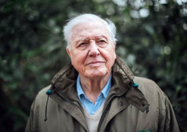 Sir David Attenborough will present an "urgent" new documentary film about climate change, looking at the potential threats to our planet and the possible solutions. Picture: Polly Alderton/BBC/PA Wire