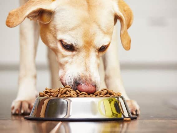 Hill's Pet Nutrition have recalled dog food from retailers such as Pets At Home. (Picture: Shutterstock)