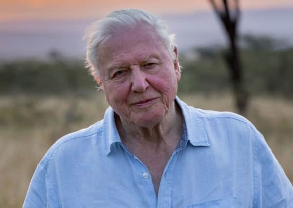 Sir David Attenborough. Picture: PA Photo/Netflix