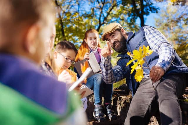 Forest kindergartens are the core feature of childcare in Nordic nations such as Finland, Norway and Sweden.