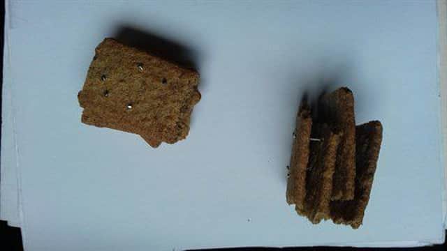 The Scottish SPCA has issued a warning to dog owners. Picture: SSPCA