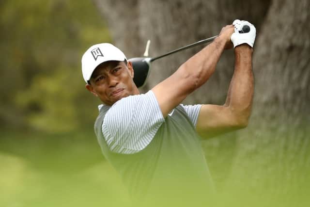 Tiger Woods plays his shot from the eighth tee in his match against Patrick Cantlay. Picture: Ezra Shaw/Getty Images