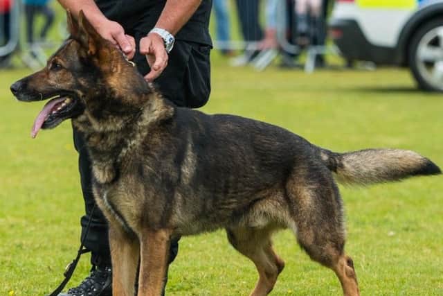 Kai received numerous recognition awards and in 2013 represented Scotland in the National Police Dog Trials, hosted in Wales.