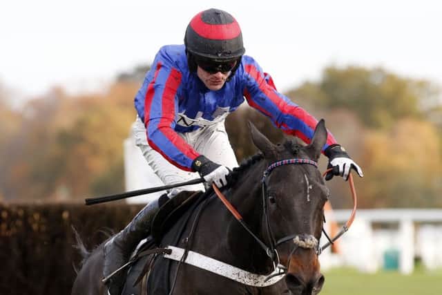Nicky Henderson's Beware The Bear will carry top weight in the Coral Scottish Grand National. Picture: Alan Crowhurst/Getty
