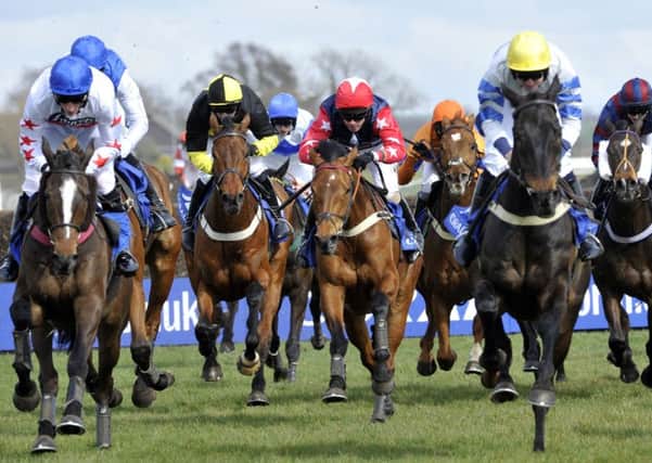Punters can enjoy a flutter on the Scottish Grand National  Picture: Robert Perry