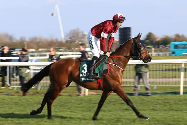Tiger Roll ridden by Jockey Davy Russell wins the Randox Health Grand National Handicap Chase. Pic: Nigel French/PA Wire.