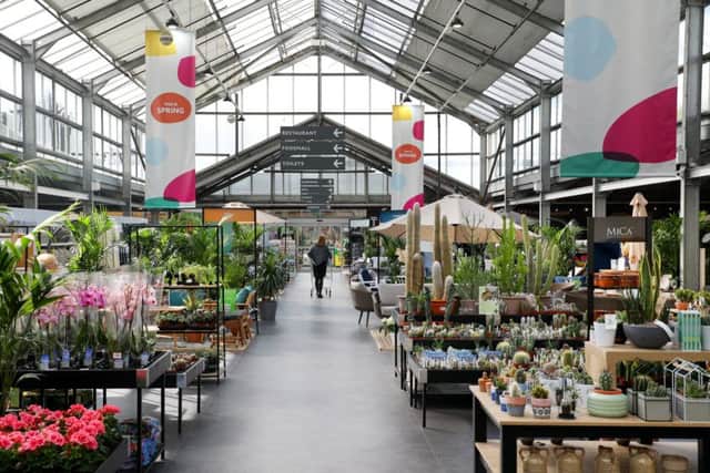 Dobbies said the deal makes it the largest garden centre operator in the UK. Picture: Stewart Attwood.