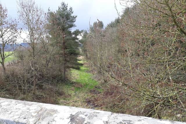 The line south of Tweedbank has been closed for 50 years. Picture: The Scotsman