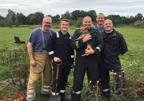 Members of the Scottish Fire and Rescue Service helped rescue a variety of animals - from the domestic to the wild - from a range of places