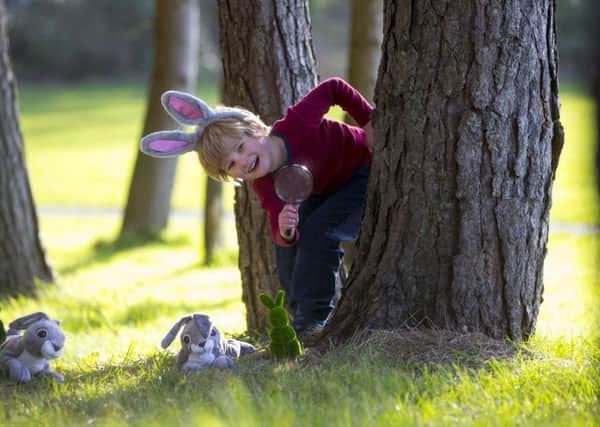 Almost 40,000 Easter eggs will be hidden at Scotland's historic National Trust for Scotland properties this weekend. PIC: Contributed.