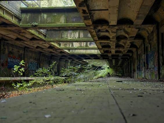 The Botanic Gardens in Glasgow are a popular destination, but few know theyre just a stones throw from one of the citys most iconic abandonments: a subterranean Victorian railway station that has been disused for decades.