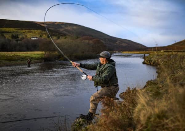 Wild fisheries are worth around £80 million a year to the Scottish economy but salmon populations have been declining due to a variety of factors - including climate change and fish farming. Picture: J Mitchell/Getty Images