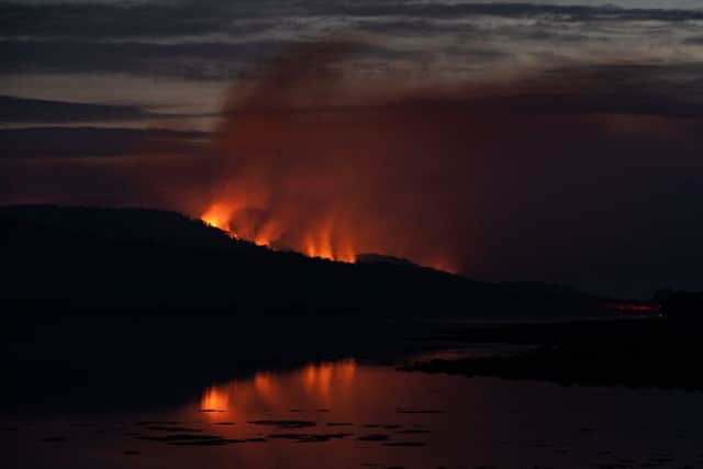 Wildfires on the north end of Bute. Photo by Ted Leeming, Leeming + Paterson Photography.