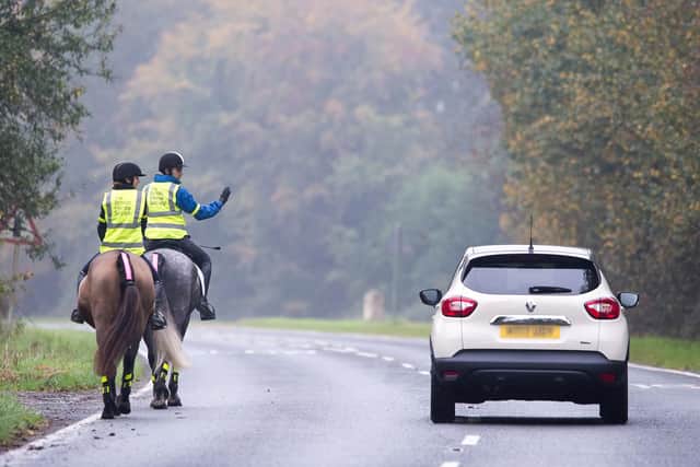 Horses have very sensitive hearing and eyesight, and can damage vehicles if startled. Picture: British Horse Society