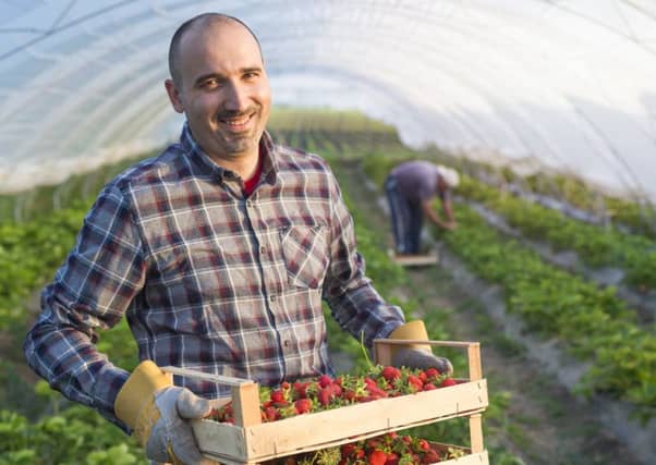 Berry pickers are in short supply.