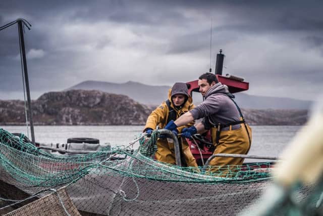 Scottish Salmon Company has seen a 23 per cent jump in sales compared to the first quarter of 2018. Picture: Contributed