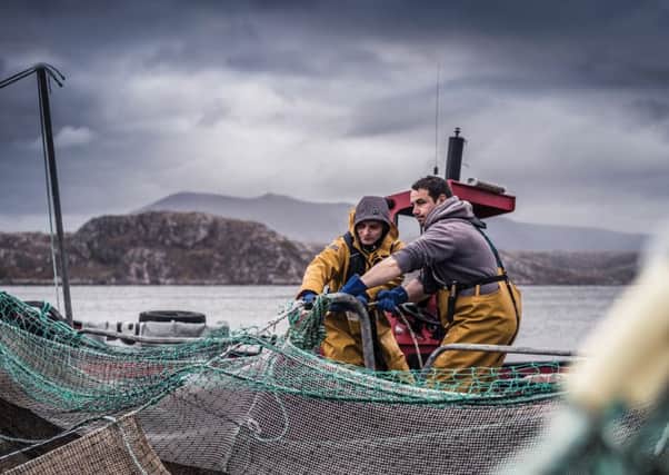 Scottish Salmon Company has seen a 23 per cent jump in sales compared to the first quarter of 2018. Picture: Contributed