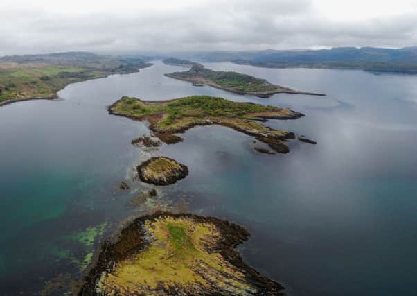 The first Scottish community-led oyster regeneration project at Loch Craignish.