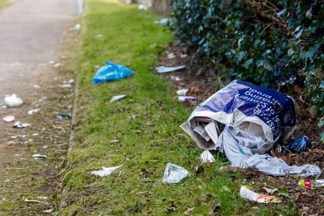 The size of Scotlands litter problem is alarming but fining school children is a step too far, says Martyn McLaughlin (Picture: Scott Louden)