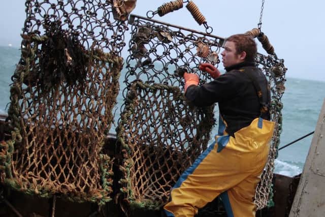 Clearing the nets aboard a scallop dredger. Picture: Getty