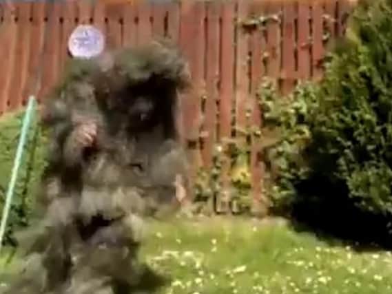 Fraser McIlroy in his bush camouflage in the viral video.