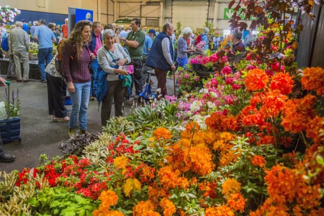 Gardening Scotland opens on May 31. Picture: Chris Watt