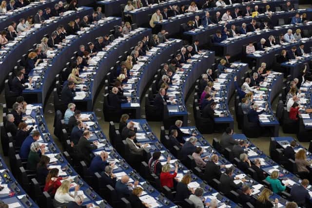 The 2019  European Parliament elections were held on the 23 May. Picture: Frederick Florin