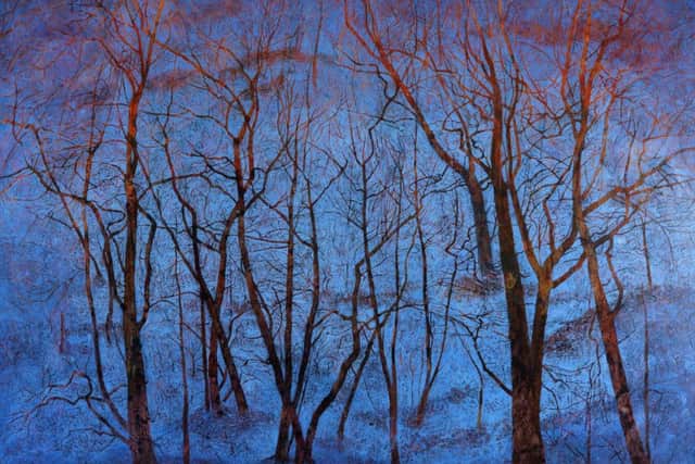 Blue Snow and Fiery Trees by Victoria Crowe PIC: City Art Centre