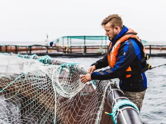 Scottish Sea Farms worker on a salmon farm at Shapinsay, Orkney. Picture: Contributed