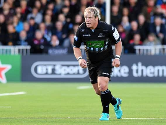 Petrus du Plessis in action for Glasgow Warriors