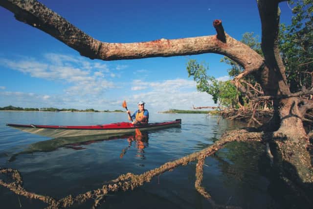 A kayak eco-tour is a fun way to explore the winding mangroves of Estero Bay