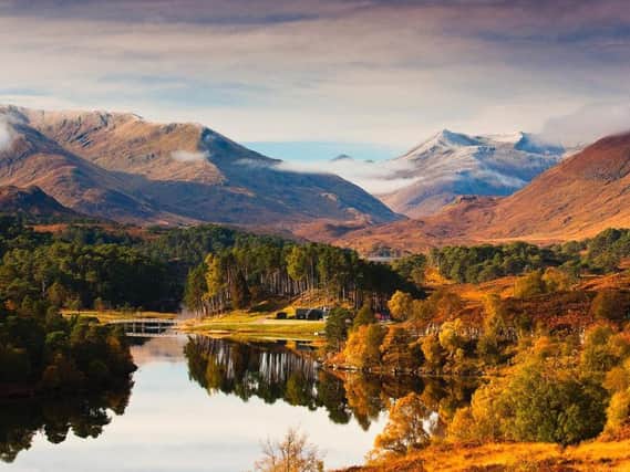 More than 22 million trees were planted in Scotland last year to help deal with the climate change emergency. Pictured is Glen Affric, which is managed by Forestry Scotland. PIC: Colin Leslie.
